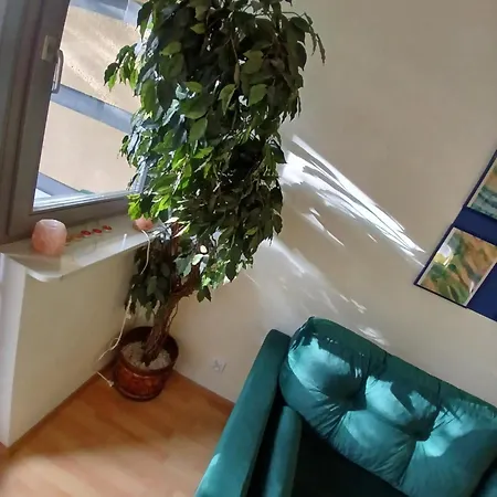 Apartment Meadow View 10 *