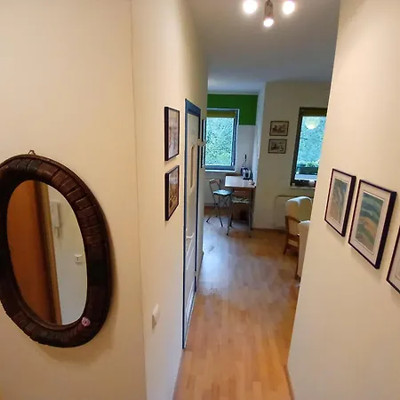 Meadow View 10 * 크라쿠프