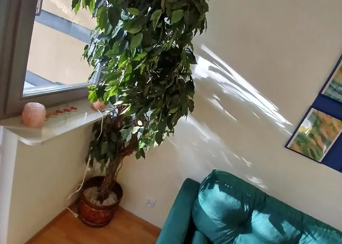 아파트 Meadow View 10 *