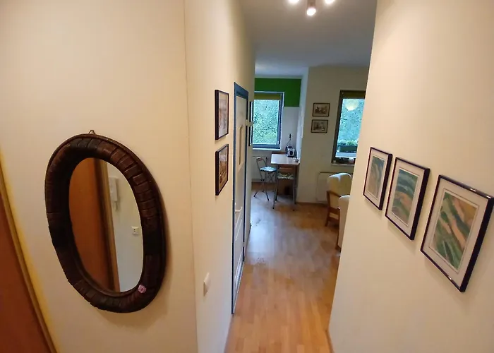 Meadow View 10 * 크라쿠프